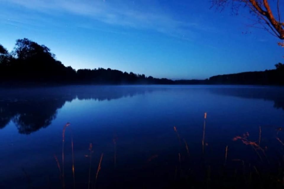 Lake view