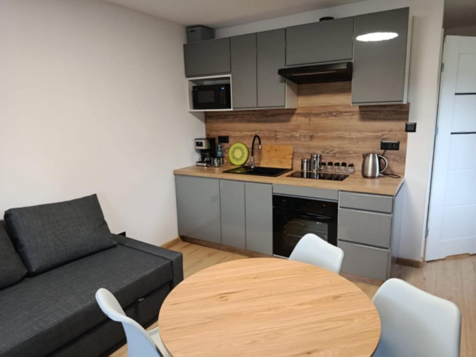 Apartament Centrum Apartment in Lower Silesian Voivodeship