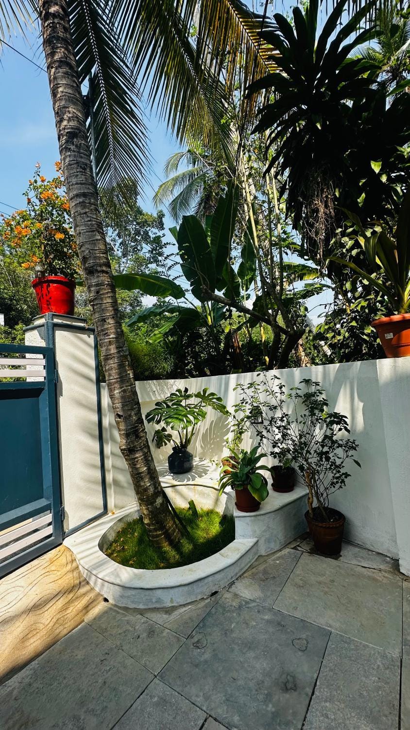 Day, Garden view