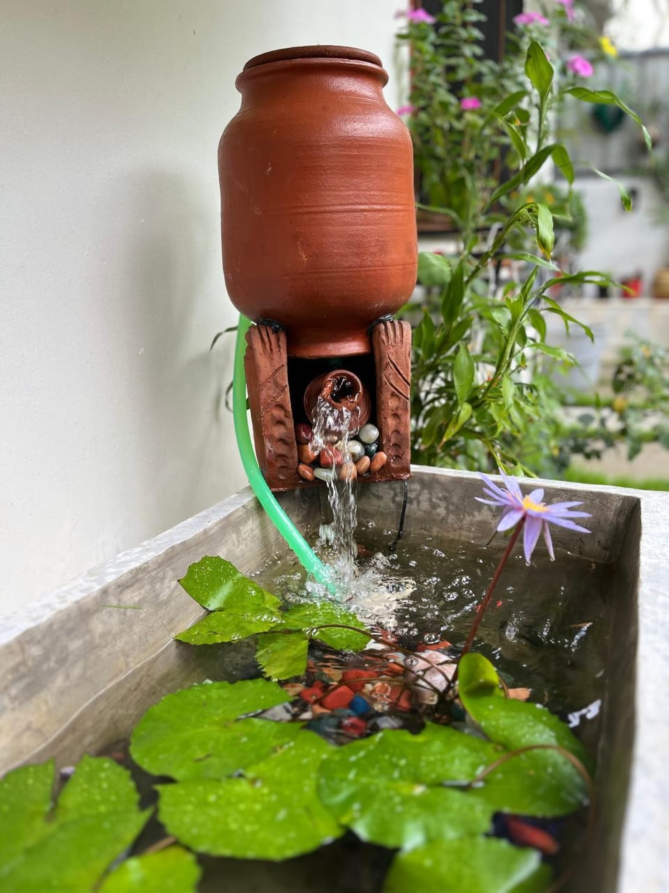 Day, Garden view