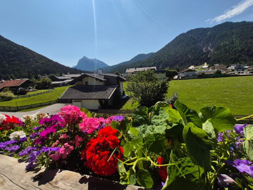 Natural landscape, View (from property/room), Garden view, Mountain view
