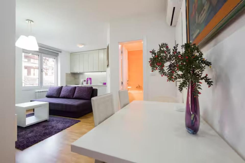 Sekula's City Center Apartment Apartment in Belgrade