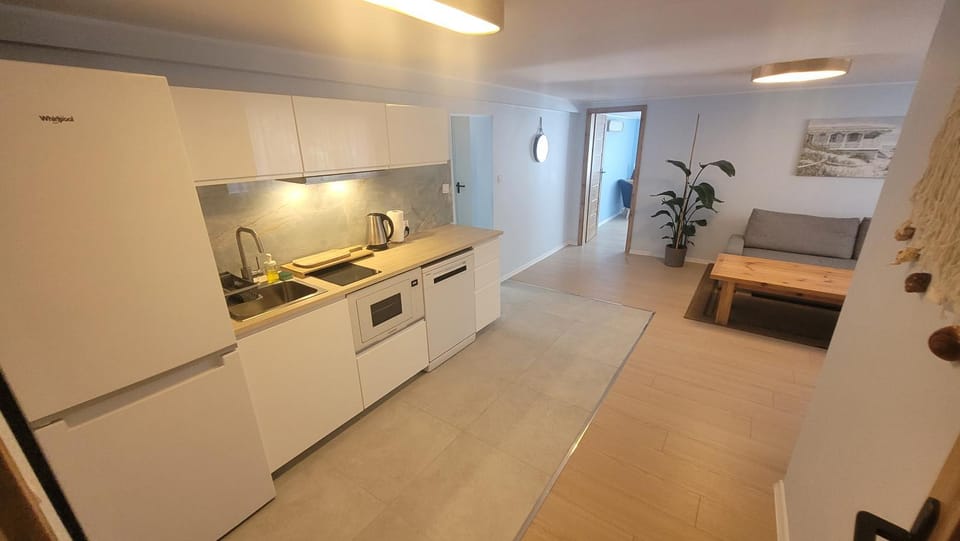 Kitchen or kitchenette, dishwasher, stove