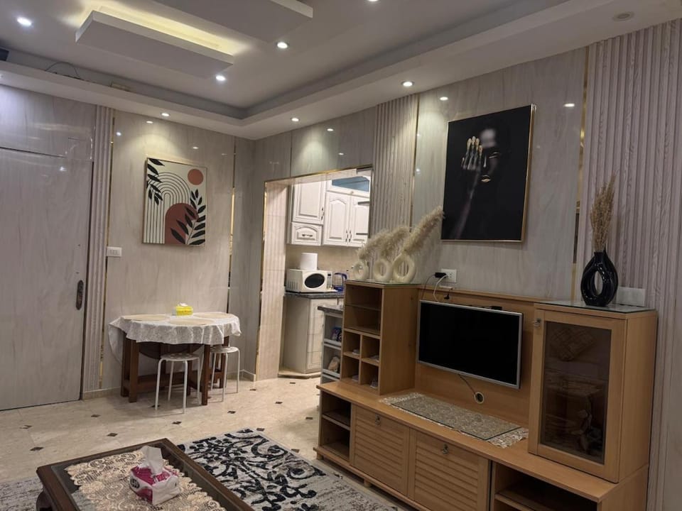 Elegant Downtown Apartment PlayStation Included Apartment in Alexandria