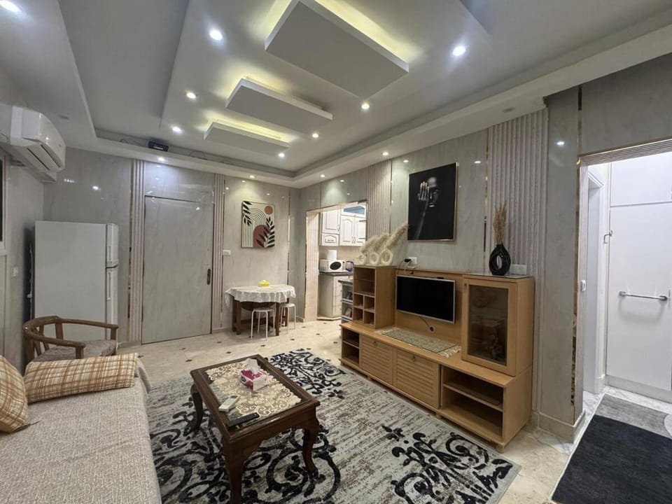 Elegant Downtown Apartment PlayStation Included Apartment in Alexandria
