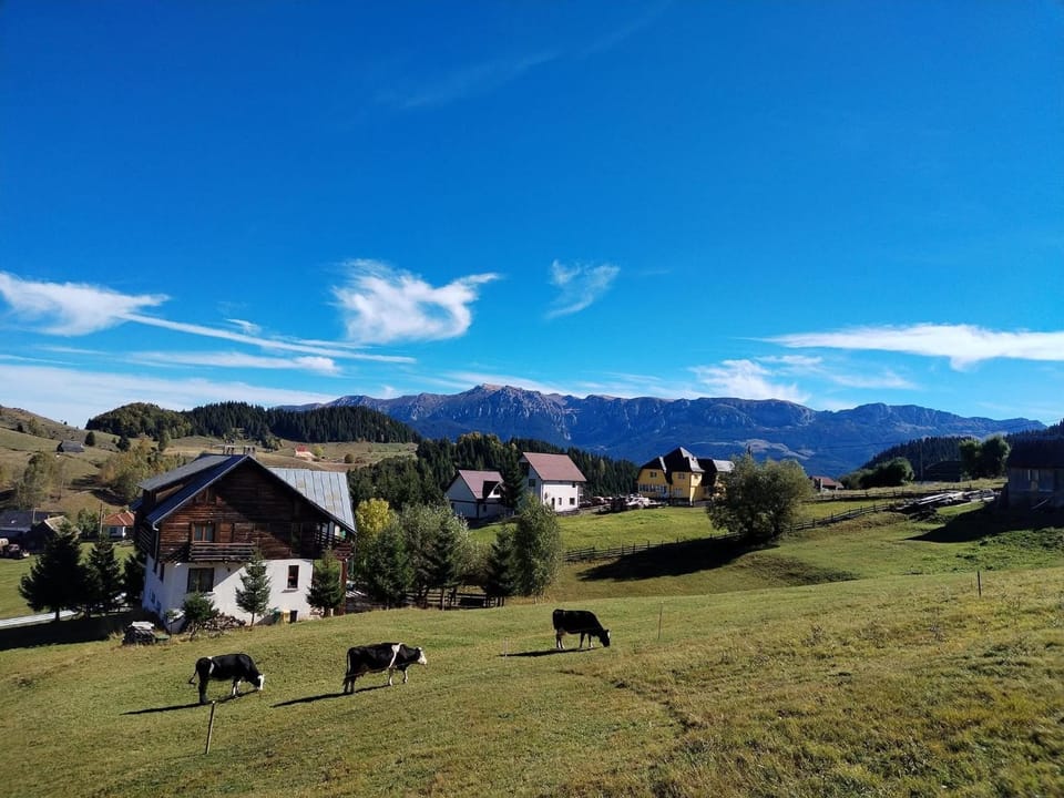 Natural landscape