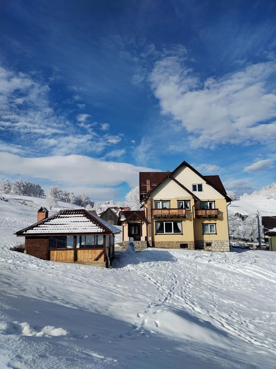 Winter