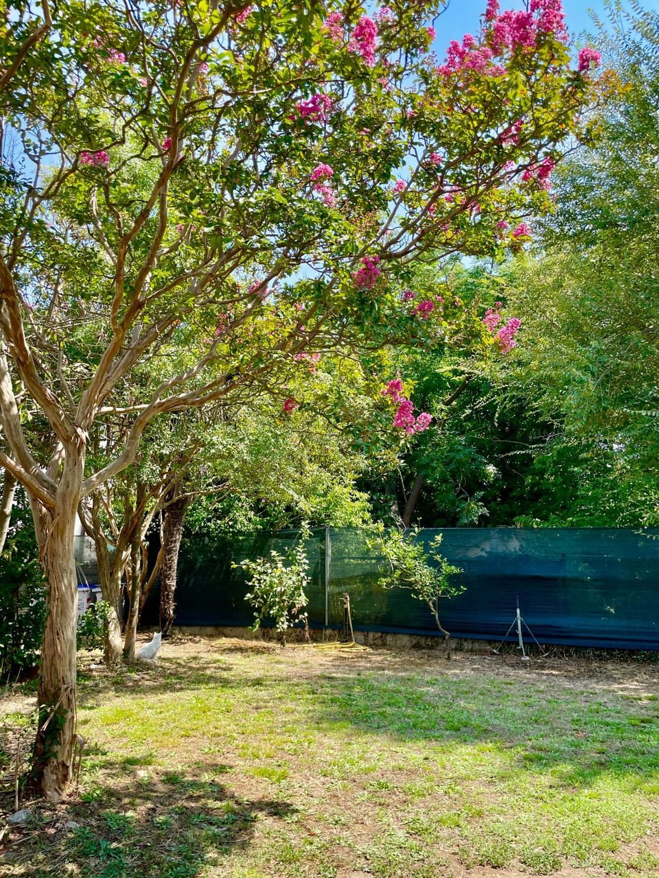 Natural landscape, Garden, Garden view