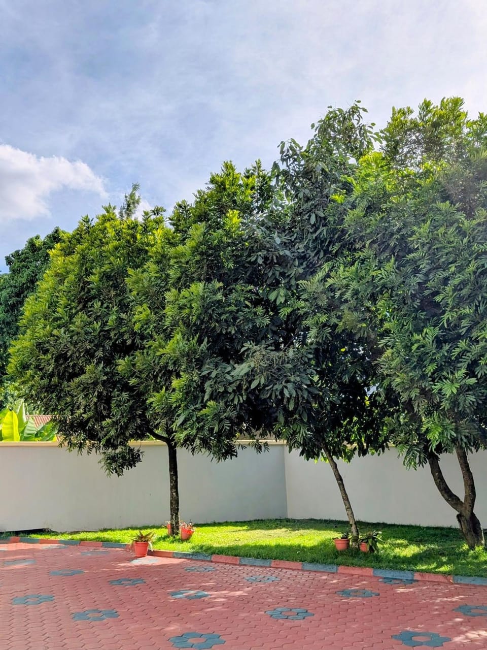 Garden, Garden
