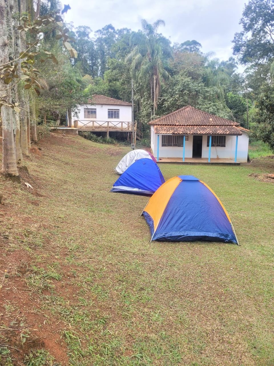 Property building, Natural landscape, Garden