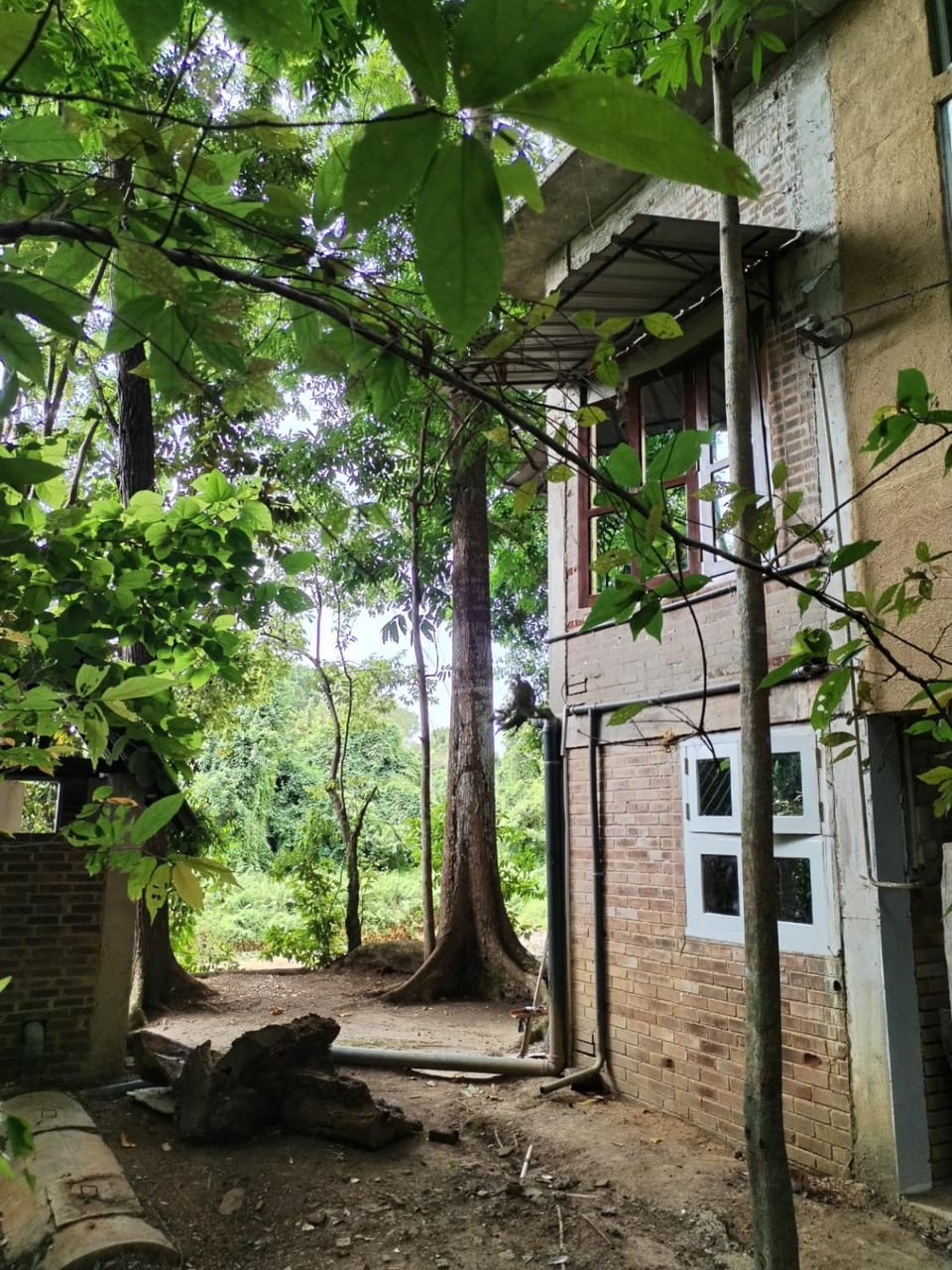 Property building, Spring, Day, Natural landscape, Garden, Garden view