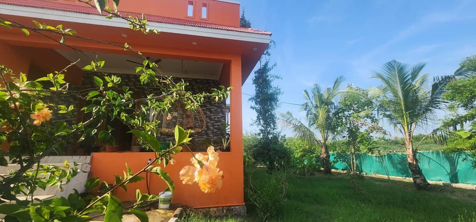 Property building, Garden, Garden view
