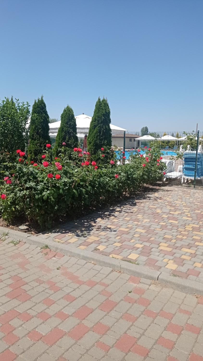 Апартаменты у моря Первая линия 51Ш Apartment in Odessa Oblast