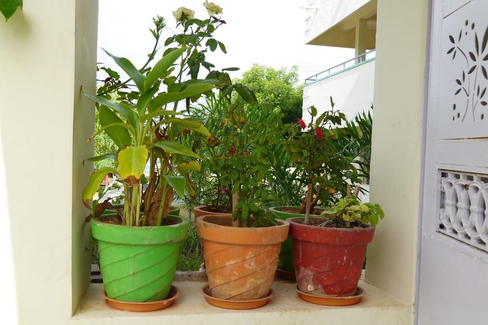 Garden, Garden view