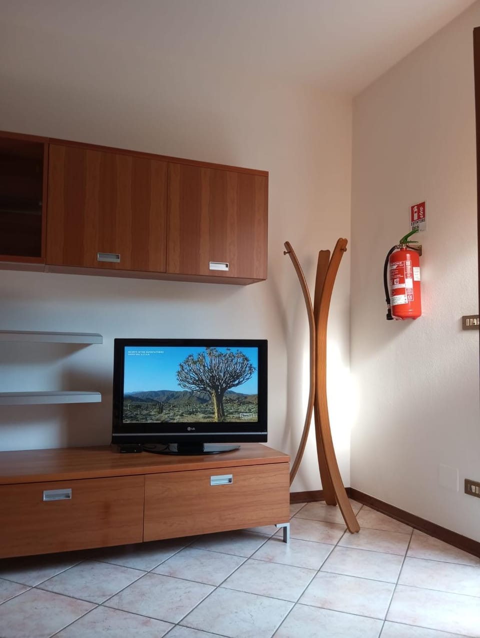 TV and multimedia