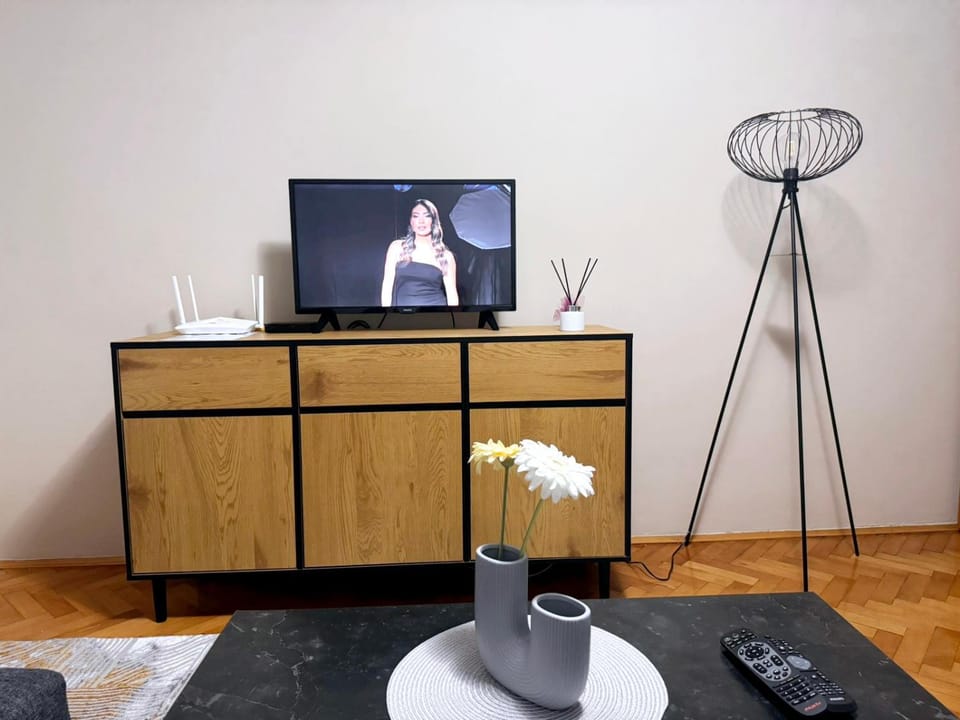 TV and multimedia