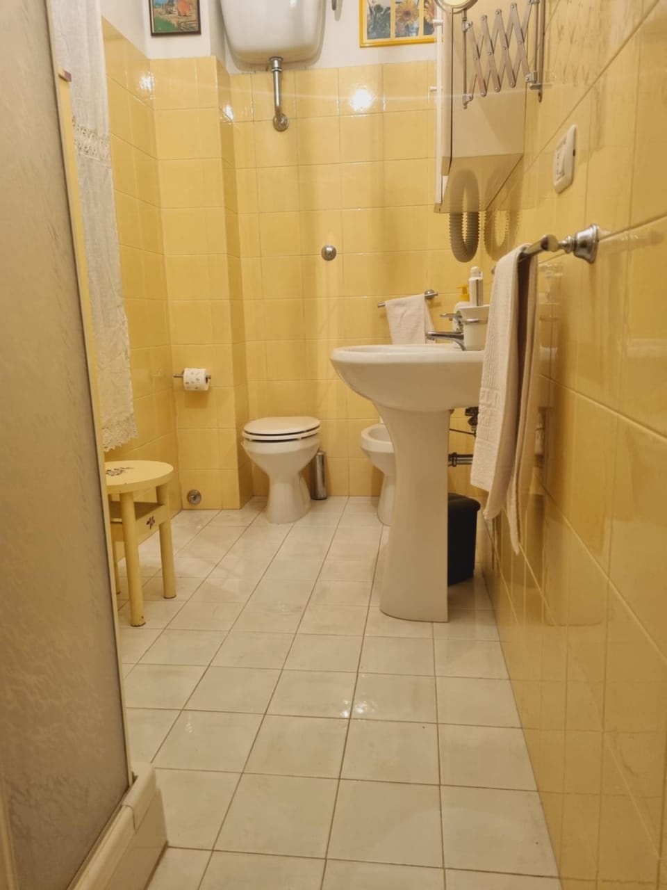 Shower, Toilet, Bathroom, bidet