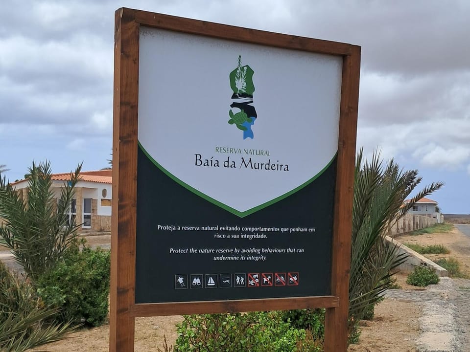 Logo/Certificate/Sign