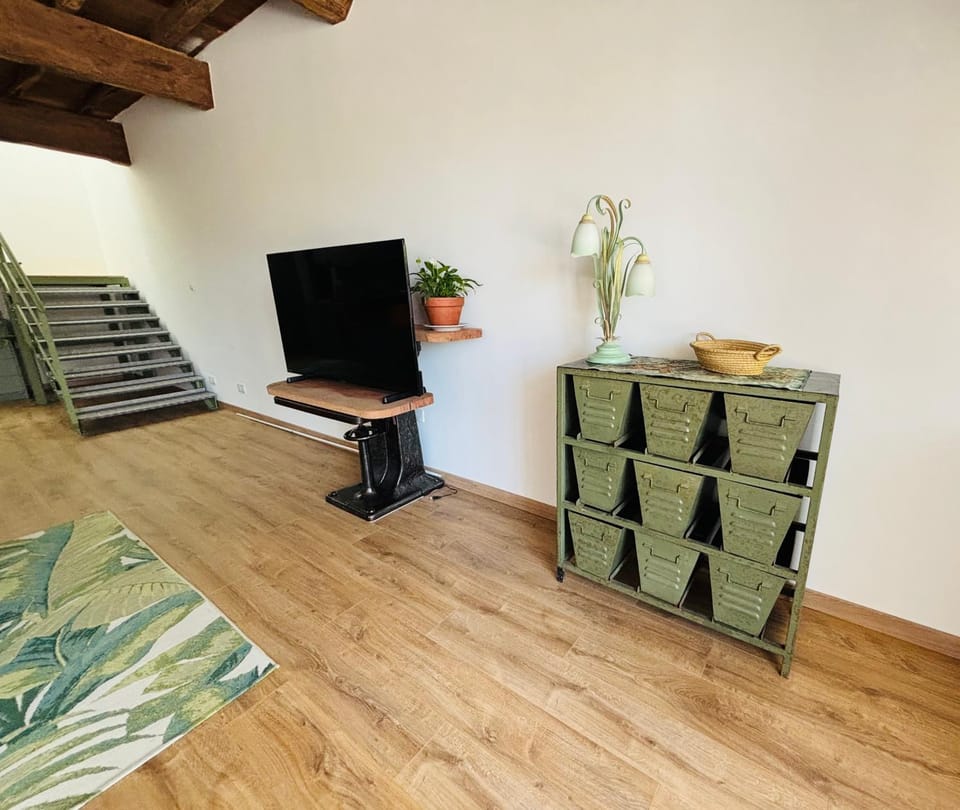 Communal lounge/ TV room, TV and multimedia