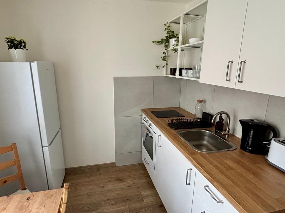 Apartmán pod Hradem Apartment in Czechia