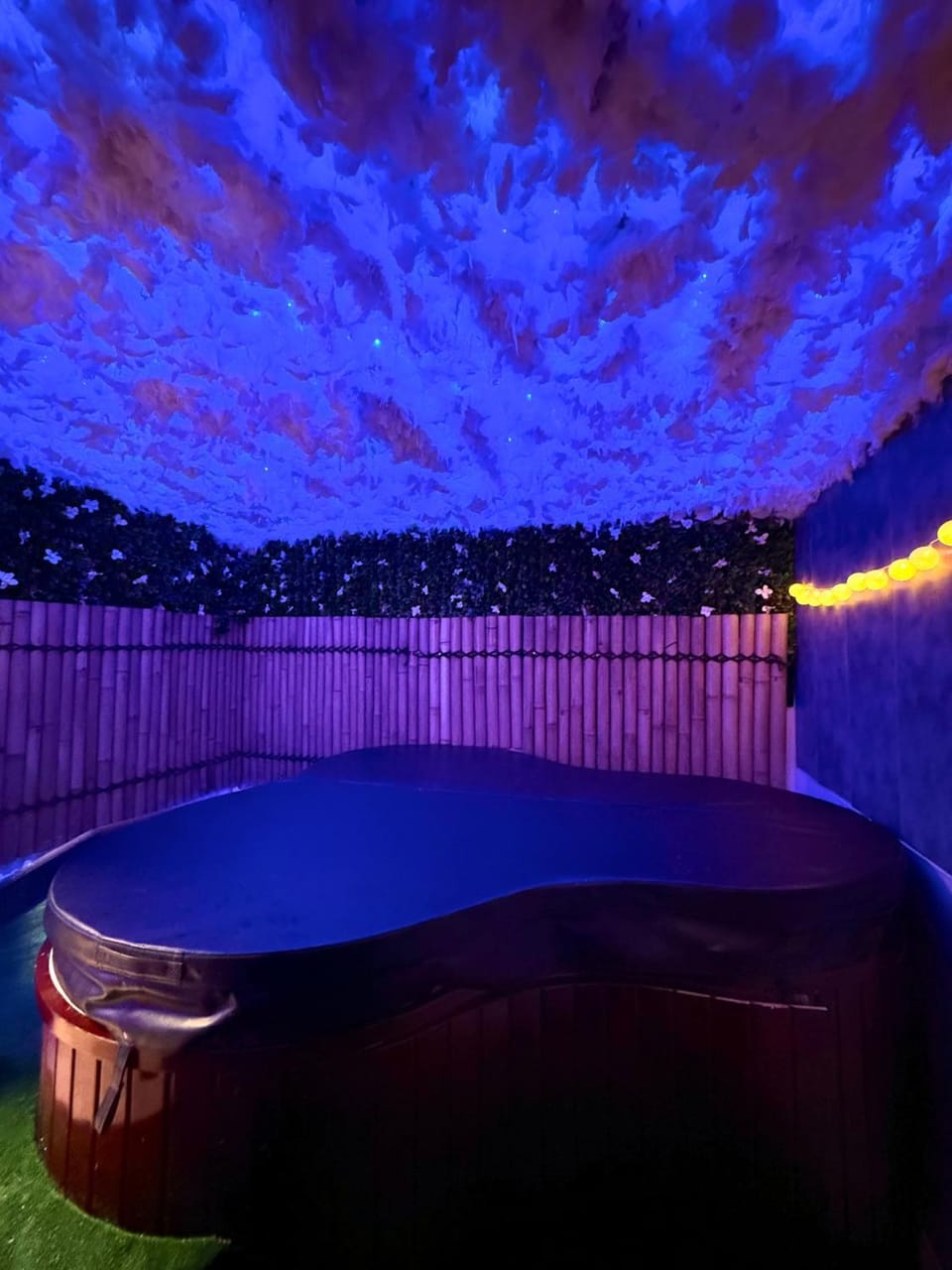 Love-room climatisé Jaccuzi sauna Apartment in Béziers