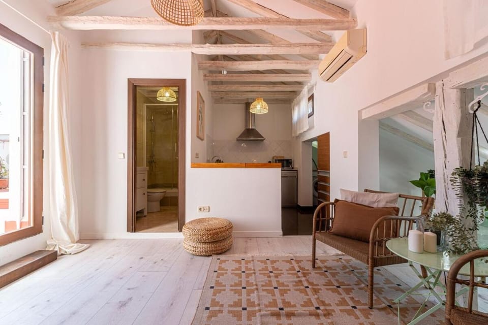 Roof Malasaña by Hogar 4 Apartment in Centro