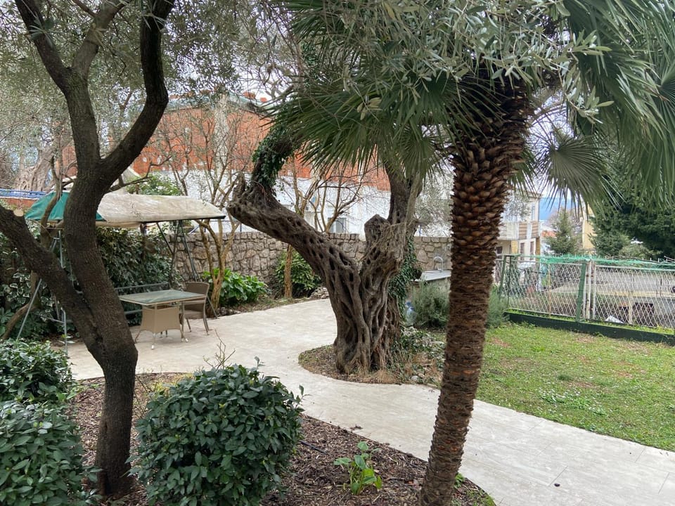 Inner courtyard view