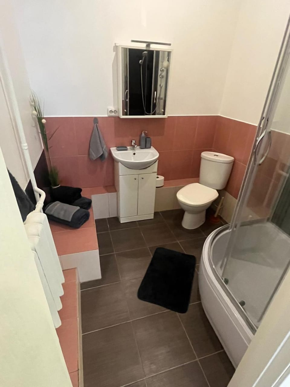 Shower, Toilet