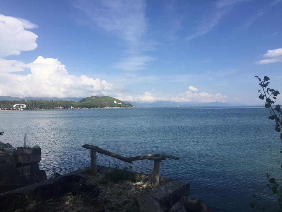 People, Garden, Lake view, Lake view, Lunch, Dinner