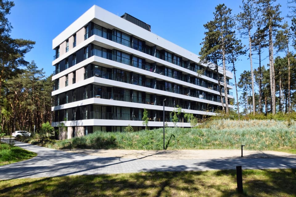Property building, Spring, Day, Natural landscape, Garden