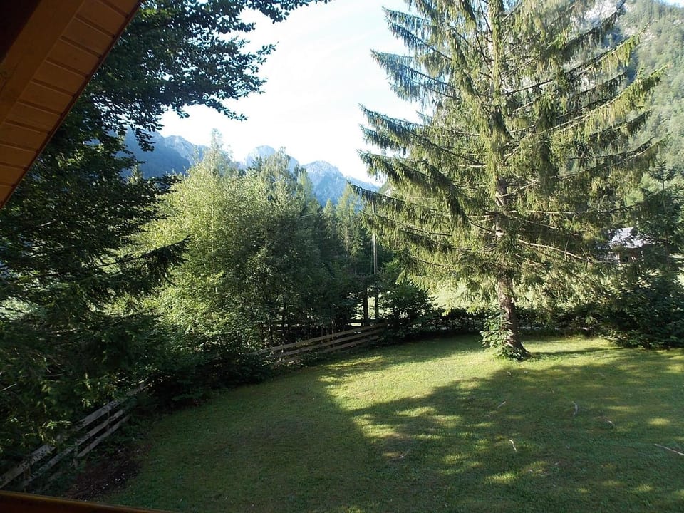 Day, Garden view