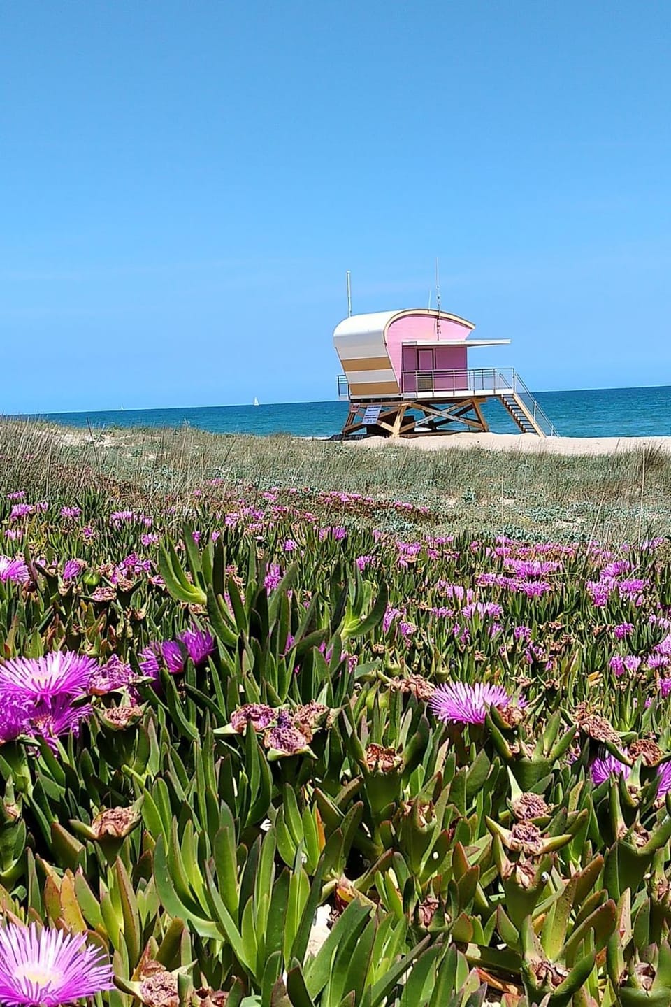 Natural landscape, Beach