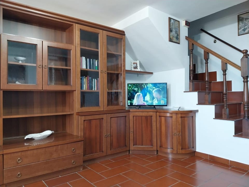 Library, TV and multimedia