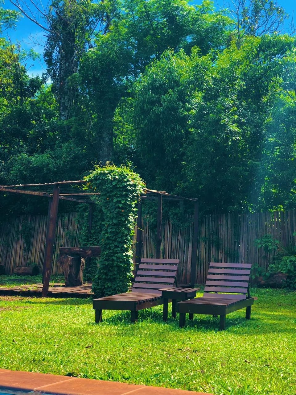 Flores de Lapacho Apartment in Puerto Iguazú