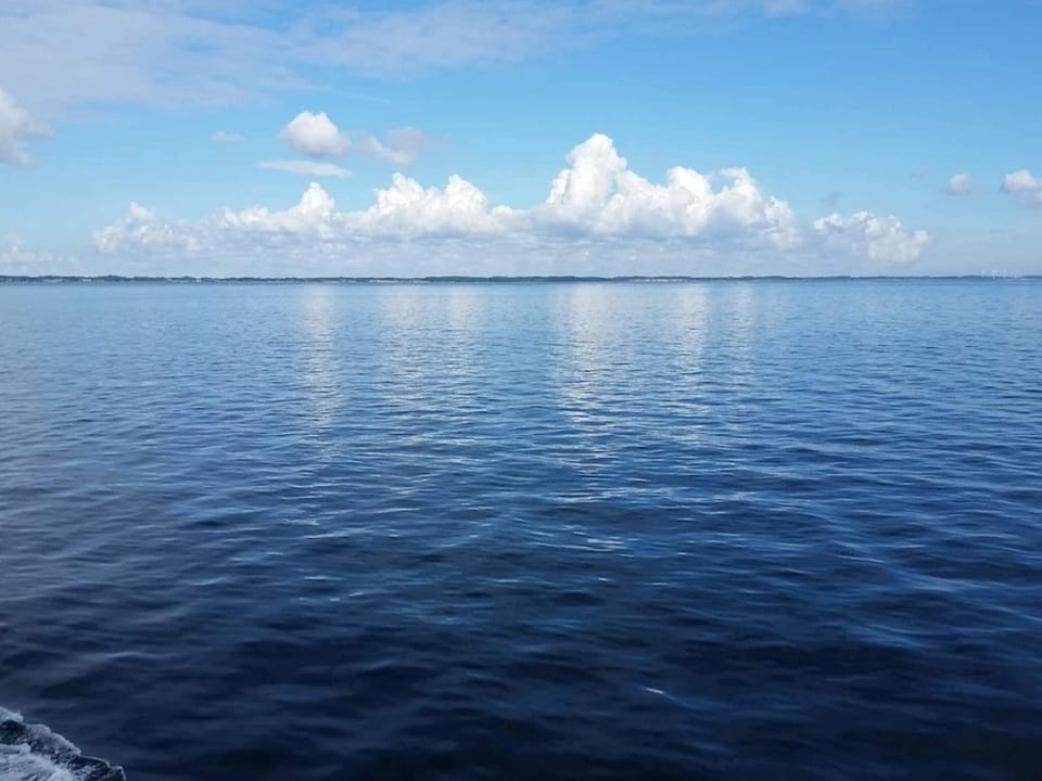 Lake view