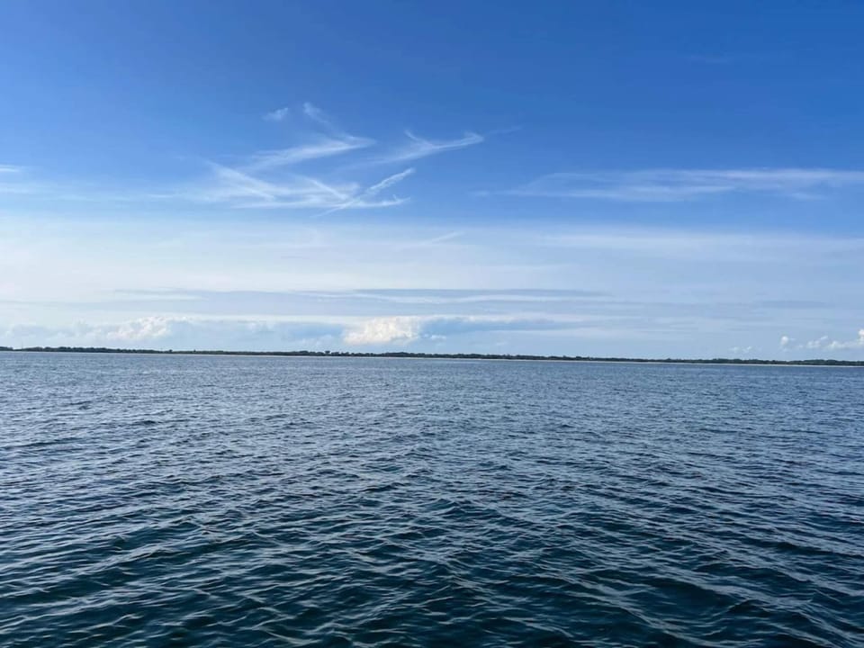 Lake view