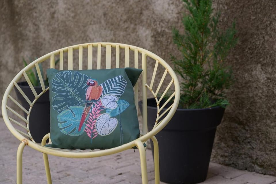 Le Pic - Hyper Centre - balcon et terrasse Apartment in Occitanie