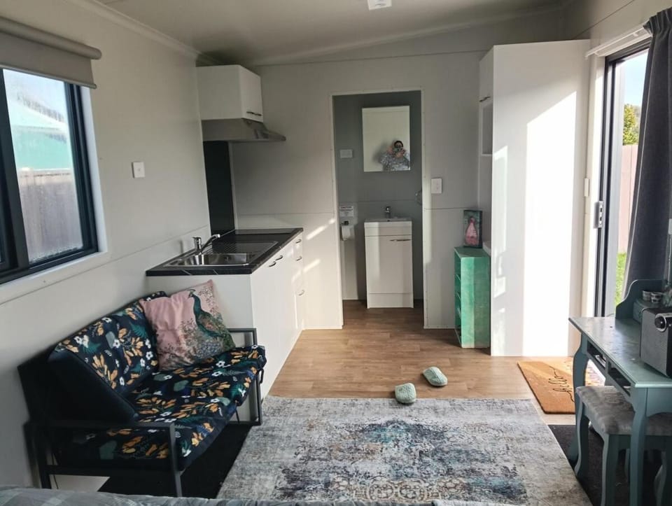 crash pad but homely Apartment in Hamilton