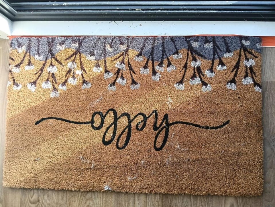 crash pad but homely Apartment in Hamilton