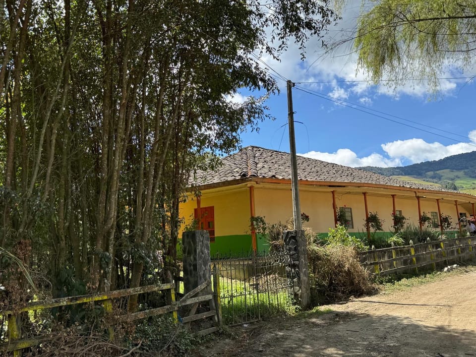 Property building, Day, Garden