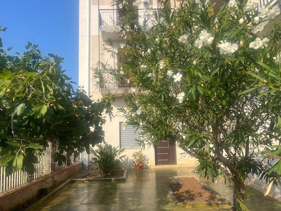 Property building, Garden, Garden view