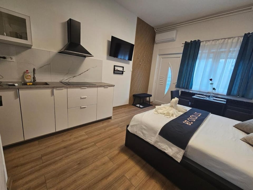 Studio 28 Apartment in Slovenia