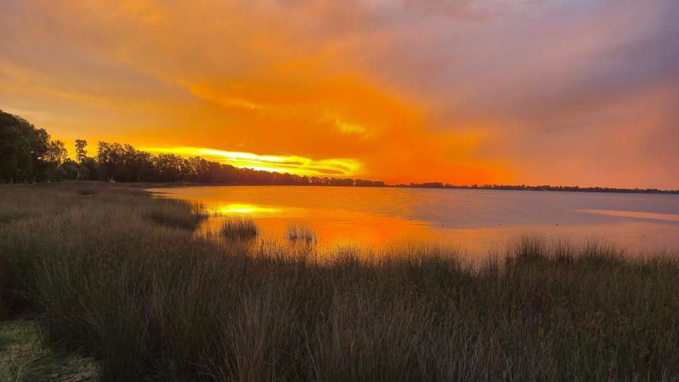 Lake view