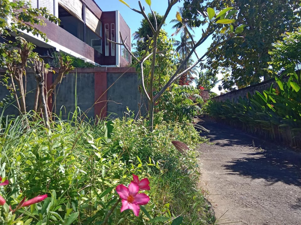 exotic menjangan Bed and Breakfast in Buleleng