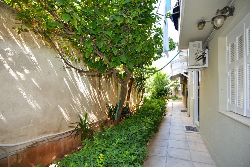 Property building, Garden view