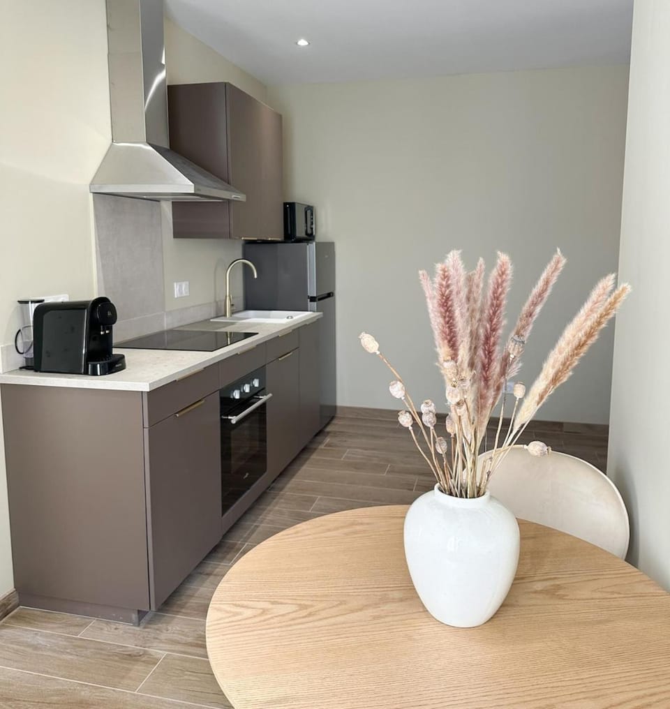 Charmant T2 tout confort Apartment in Montignac