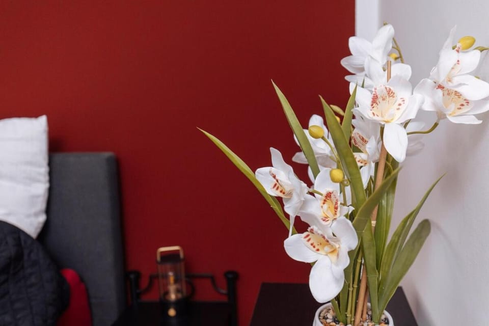 vivid & red - Netflix - City - Wifi - 4 Person Apartment in Essen