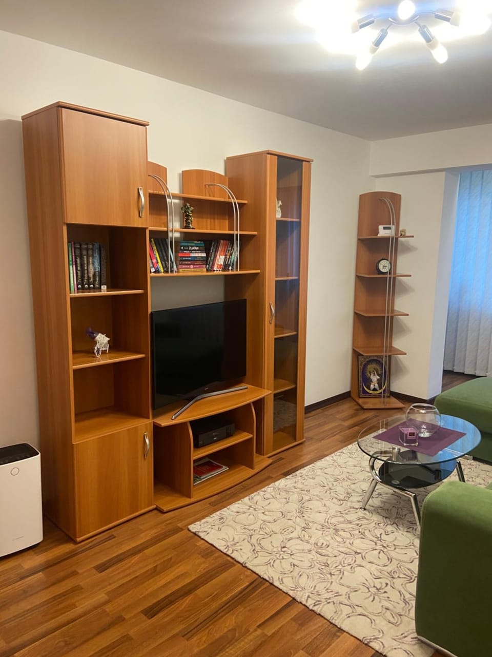 Lidia Apartment in Romania