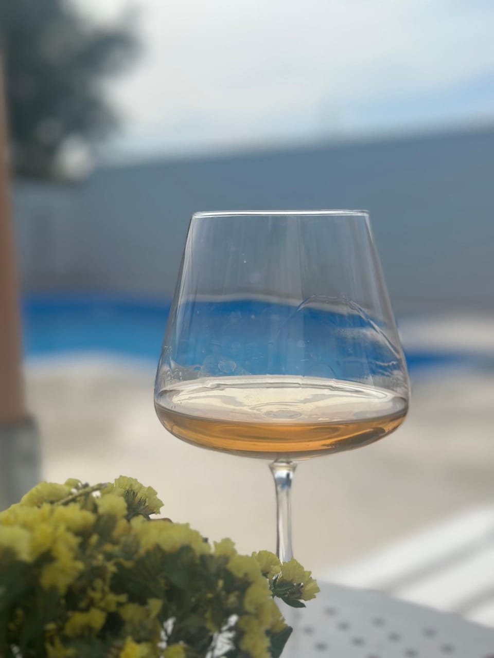Pool view, Drinks