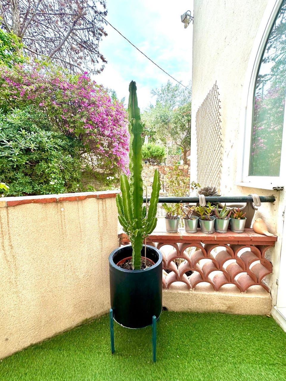 Garden, Balcony/Terrace